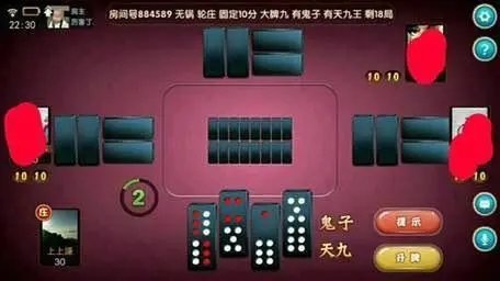 推牌9游戏安卓手机版