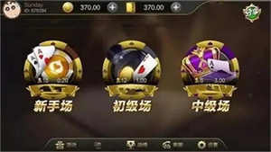 35273棋牌十年品牌旧版本