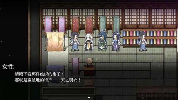 和平缔造者光辉王女