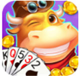 手机棋牌牛牛金花