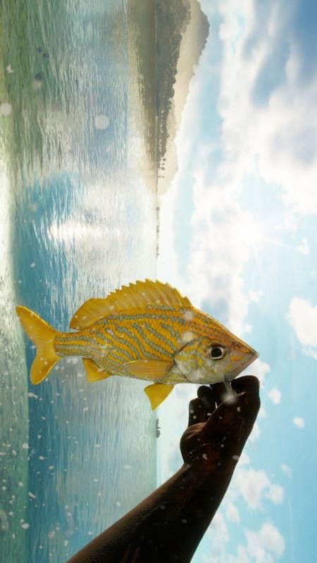 捕鱼电玩达人游戏