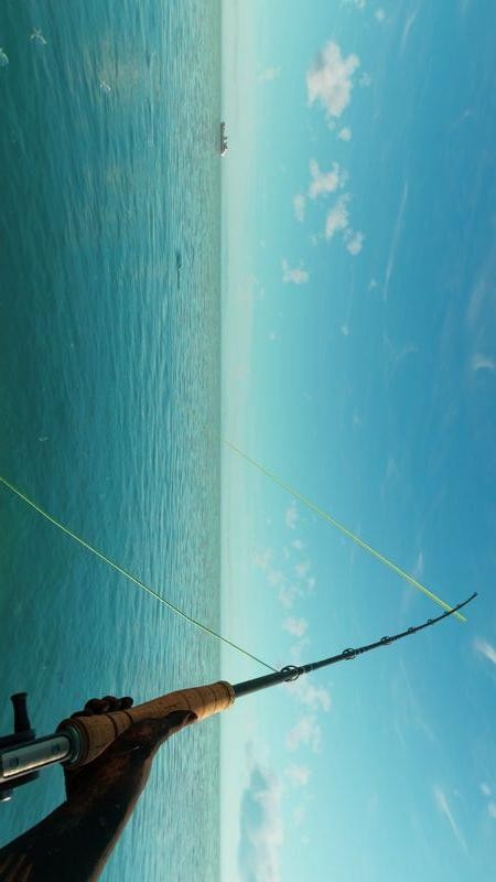 捕鱼电玩达人游戏