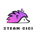 SteamCICI官网版