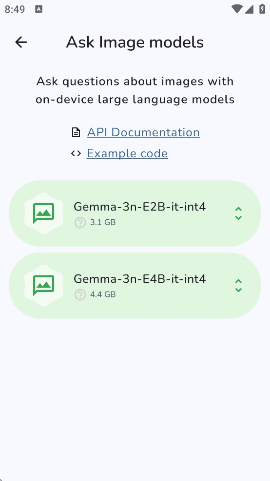 Google AI Edge Gallery