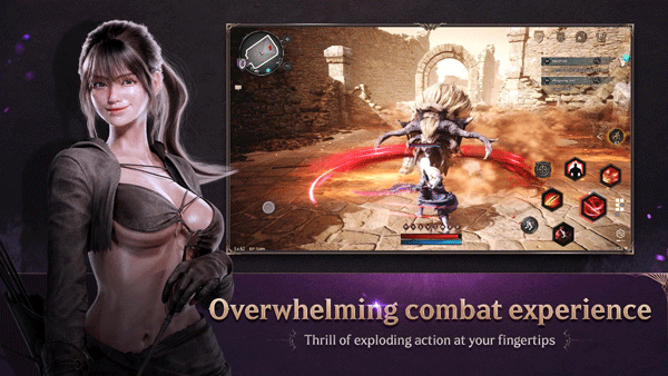 暗月十二国际服