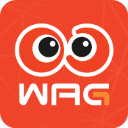 看个比赛官方版