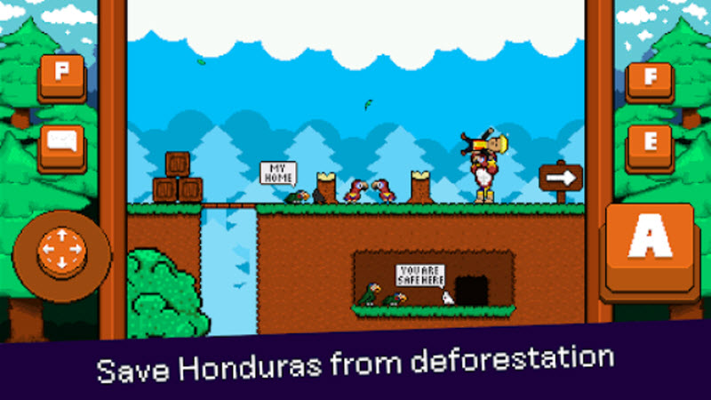 最后的金刚鹦鹉