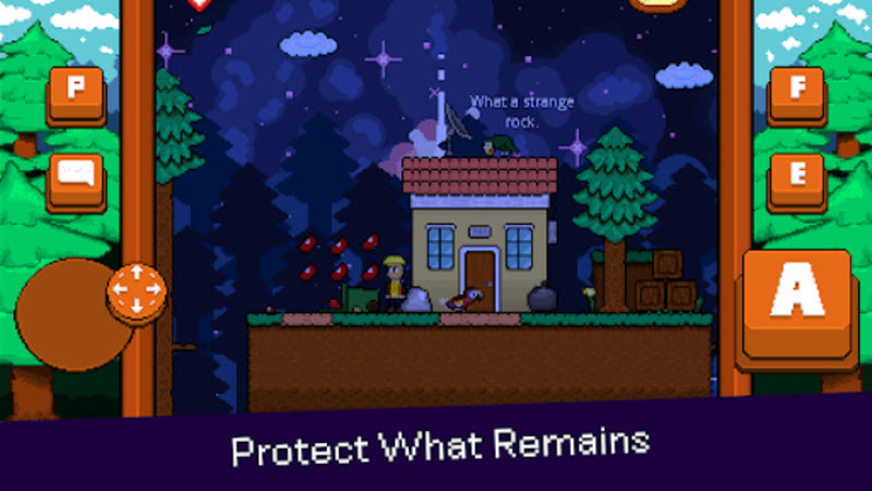 最后的金刚鹦鹉