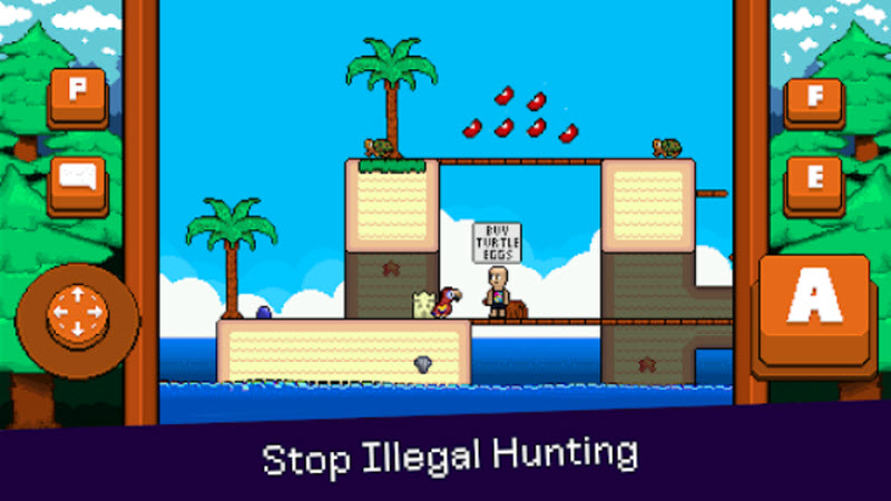 最后的金刚鹦鹉