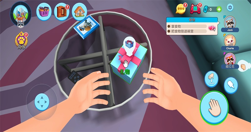 浣熊模拟器我的宠物