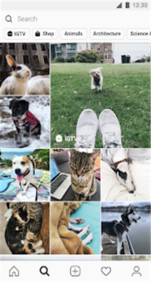 instagram官网下载