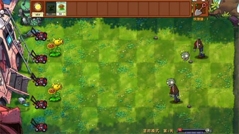 植物大战僵尸RF版