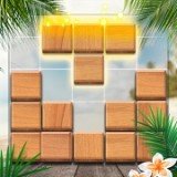 俄罗斯木块赚钱版