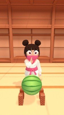 空手道破坏者游戏