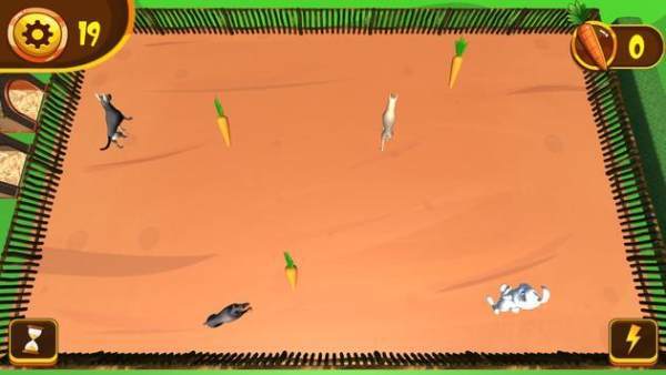 巴迪兔子(Buddy The Bunny)