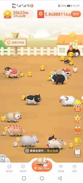 一起来养猪赚钱版